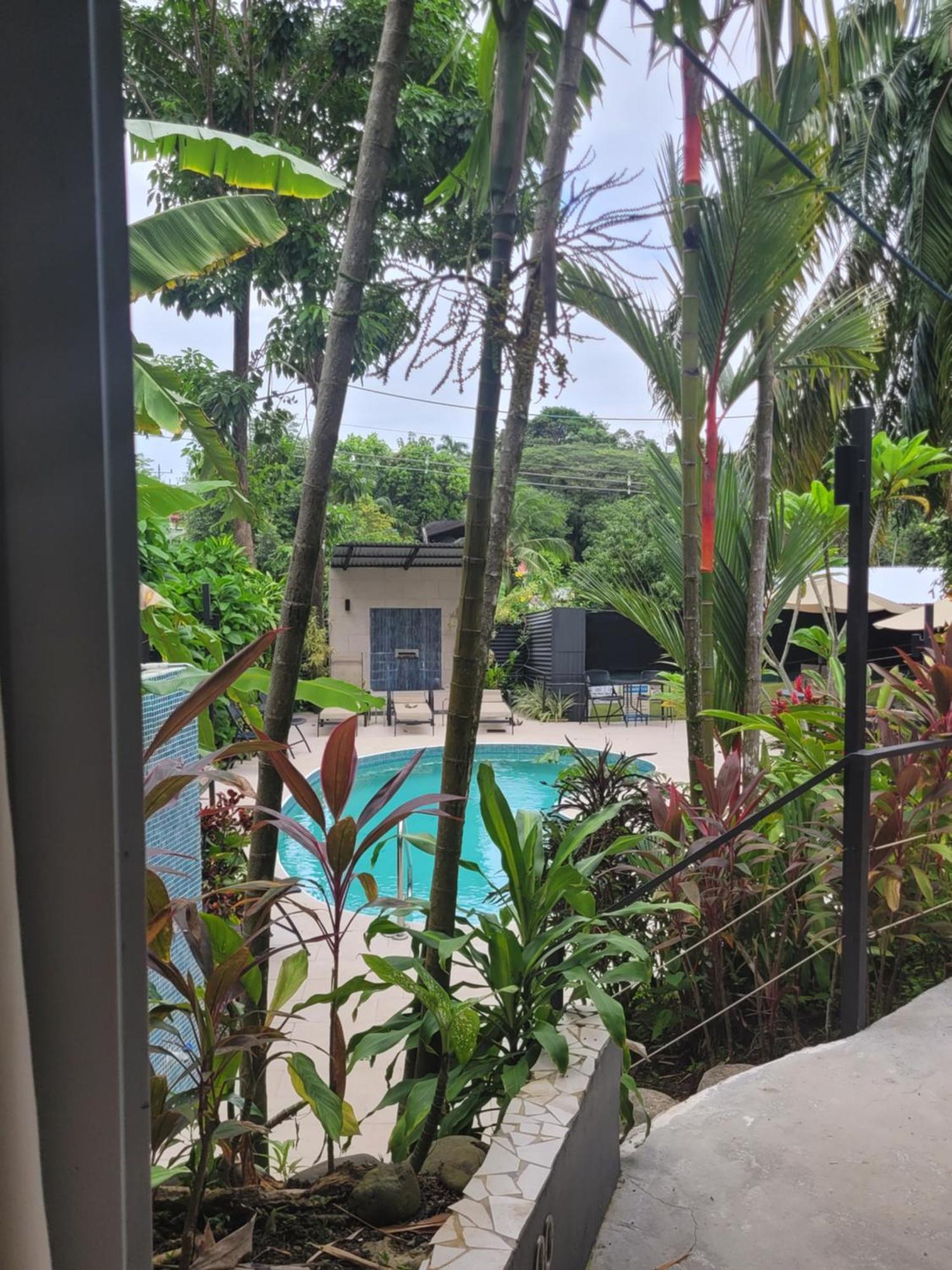 Tico Tico Villas - Adult Only Manuel Antonio Kültér fotó
