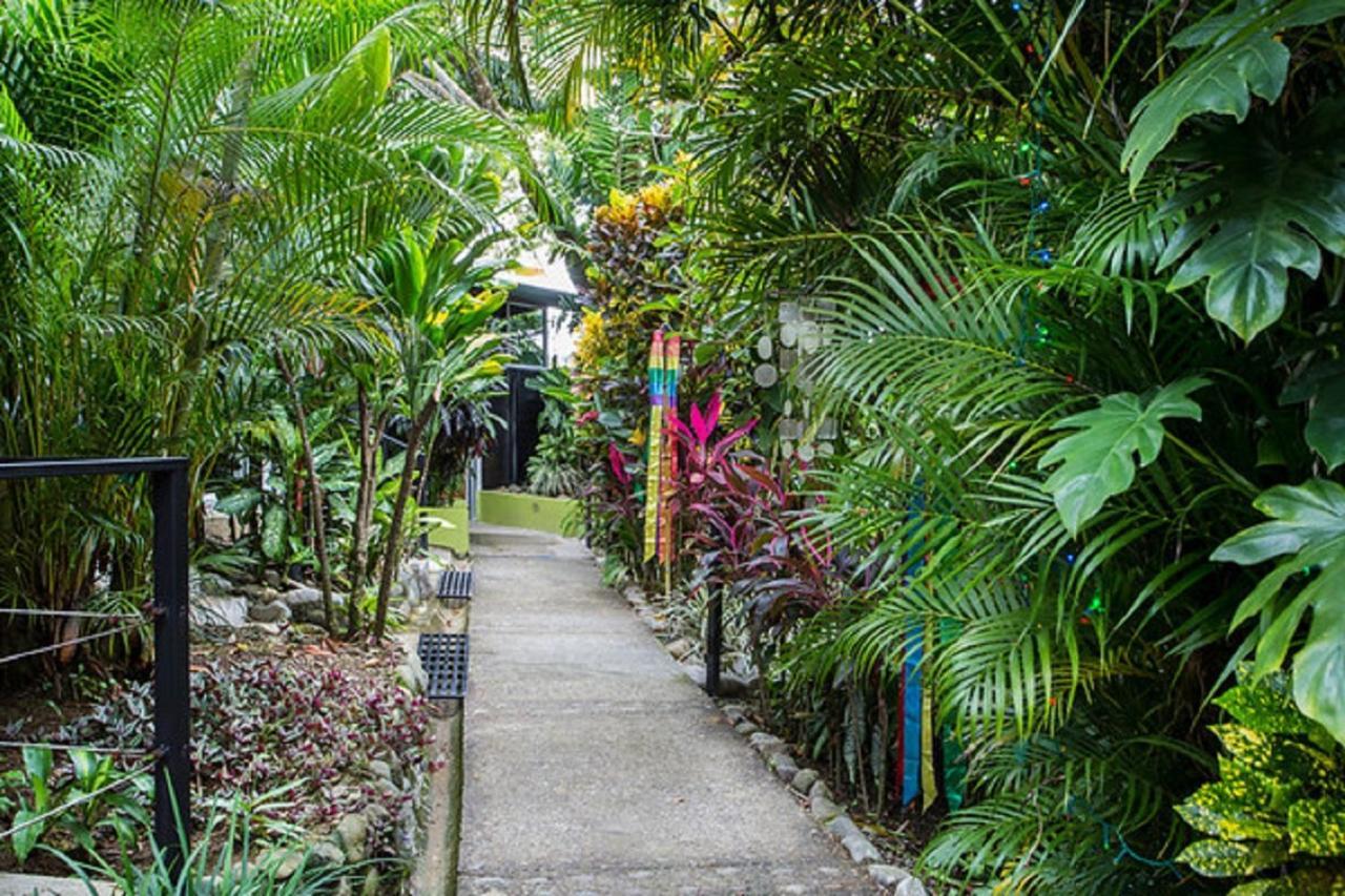 Tico Tico Villas - Adult Only Manuel Antonio Kültér fotó